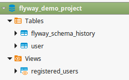 Flyway successfully applied to the database