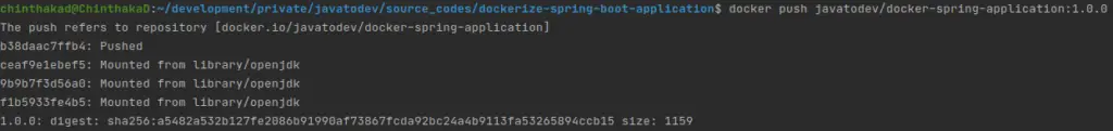 Docker push command result in terminal - Dockerize Spring Boot Application